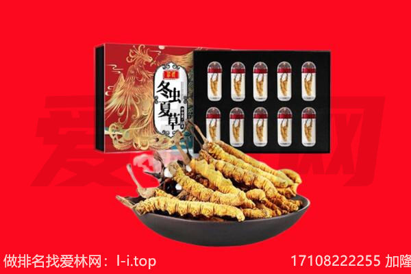 潍坊回收虫草.jpg